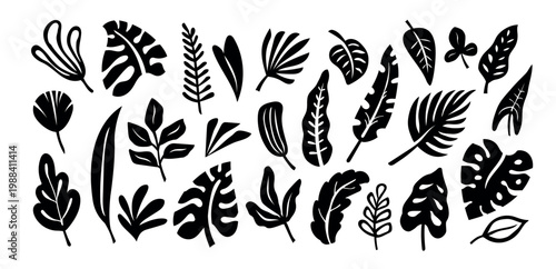 Black tropical leaves vector set with monstera, palm, philodendron and abstract foliage silhouettes, simple botanical cutout shapes, monochrome exotic leaf elements
