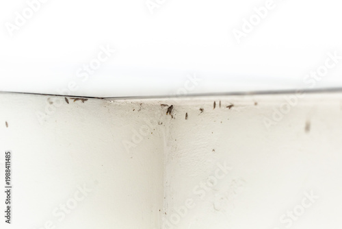 Foto old cobwebs on the wall as background
