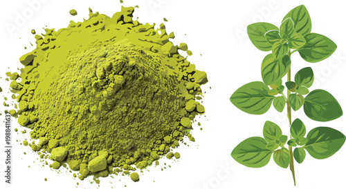 Set of 2 Green Oregano Icons Featuring Oregano Powder and Fresh Oregano Leaves for Culinary, Herb, and Natural Health Concepts