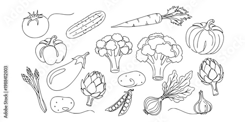 Outlined assorted vegetables in clean line style on white background, concept of healthy food promoting wellness