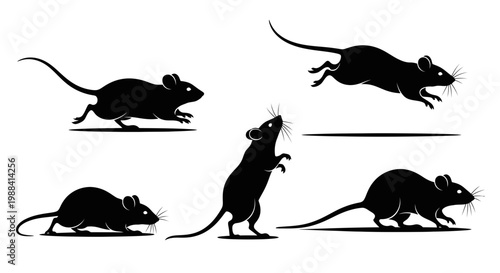 Silhouette Of Mice In Different Actions Against A White Background In An Artistic Style