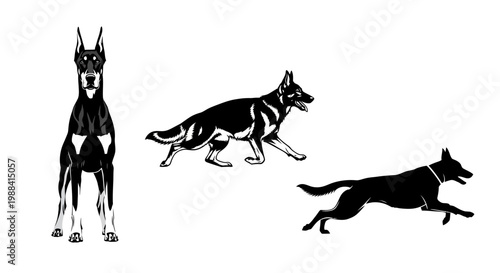 Silhouette Of Three Dog Breeds In Black And White, Excellent Minimal Illustration