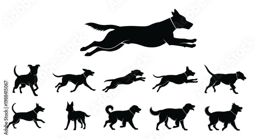Silhouette Of Various Dog Breeds In Motion Against A Pristine White Background
