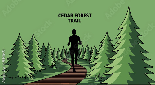 Silhouette Running Through Cedar Forest on Peaceful Trail Path During Daylight Hours