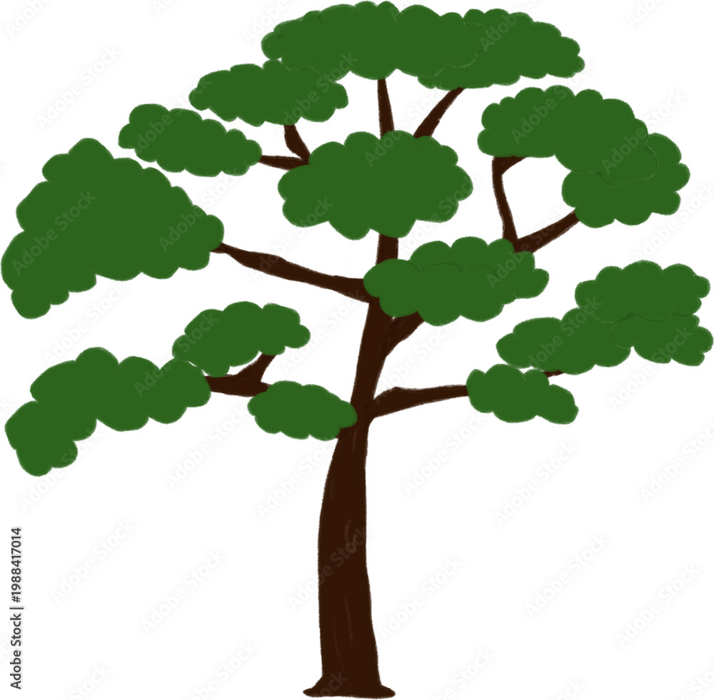 Fototapeta premium Tree