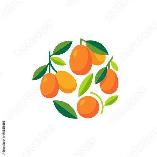 Kumquats Fruit Oranges Citrus Fruit Vector Illustration Healthy Food