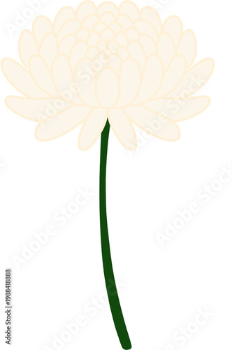 Bilde på lerret White flower