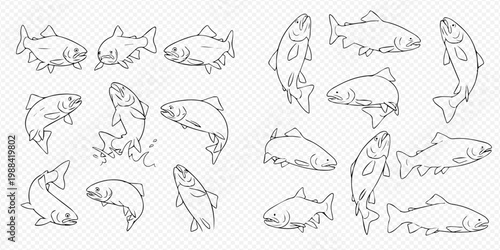 Set of various hand-drawn fish illustrations in different poses, perfect for fishing and aquatic themes.