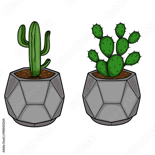 Green vector succulents in geometric grey pots, isolated on white
