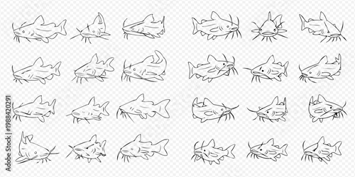 Set of hand-drawn catfish illustrations in various poses and angles on a checkered background, perfect for aquatic themes and fishing designs.