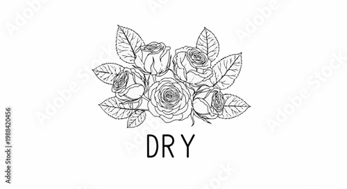 Black and white sketch of blooming roses and leaves with the word DRY