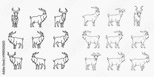 Set of various goat line art illustrations in different poses and angles, depicting domestic animals.