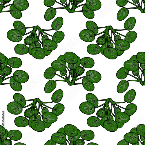 Seamless vector pattern of lush green Pilea Peperomioides leaves, a delightful botanical illustration for home decor and textiles.