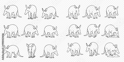 Set of cute aardvark line art illustrations in various poses on a transparent background.