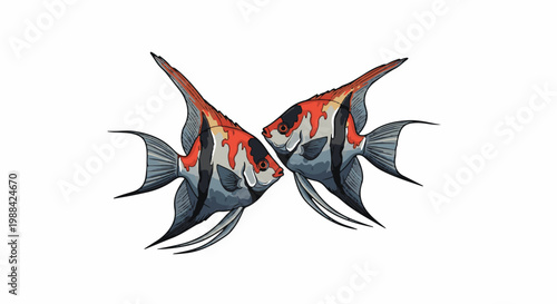 Two angelfish with red, black, and silver markings swim closely together