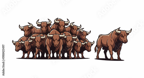 A herd of brown bulls are grouped together, with one bull standing apart