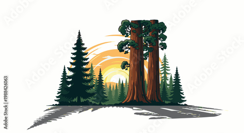 Tall evergreen trees stand against a bright, warm sunset sky