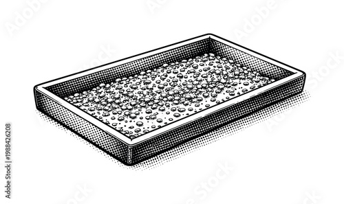 A shallow feeding tray with scattered grains, viewed from above at a slight angle, depicted in black and white