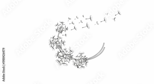 Stylized outline of dandelions scattering seeds in a gentle breeze