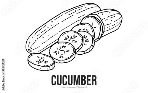 A hand-drawn illustration of a whole cucumber sliced into several pieces.