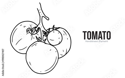 A black and white line drawing of a cluster of ripe tomatoes on the vine.