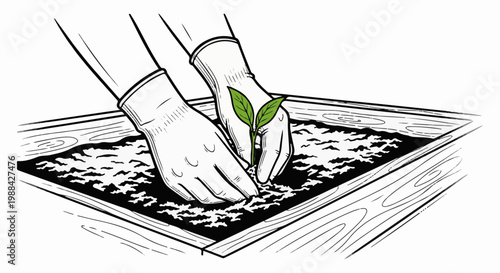 Hands in gloves planting a seedling in a wooden container filled with soil