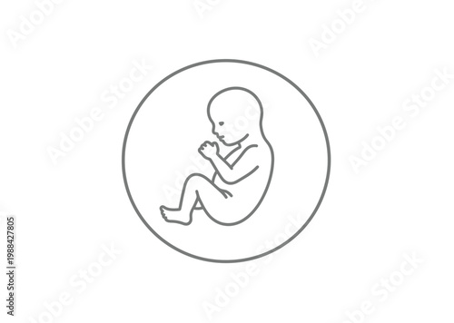 Vector of a fetus in the womb enclosed within a circular frame