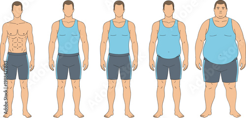 Vector illustration of male body types showing lean, muscular and obese physiques in health design