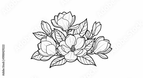Delicate line art features a cluster of magnolia blossoms and buds with leaves