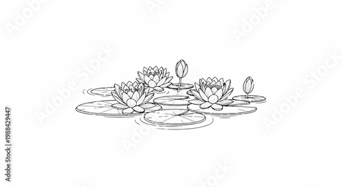 Delicate sketch of water lilies and pads floating on rippling water