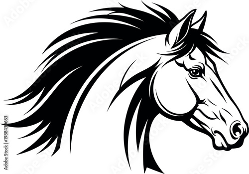 Black and white horse head with flowing mane