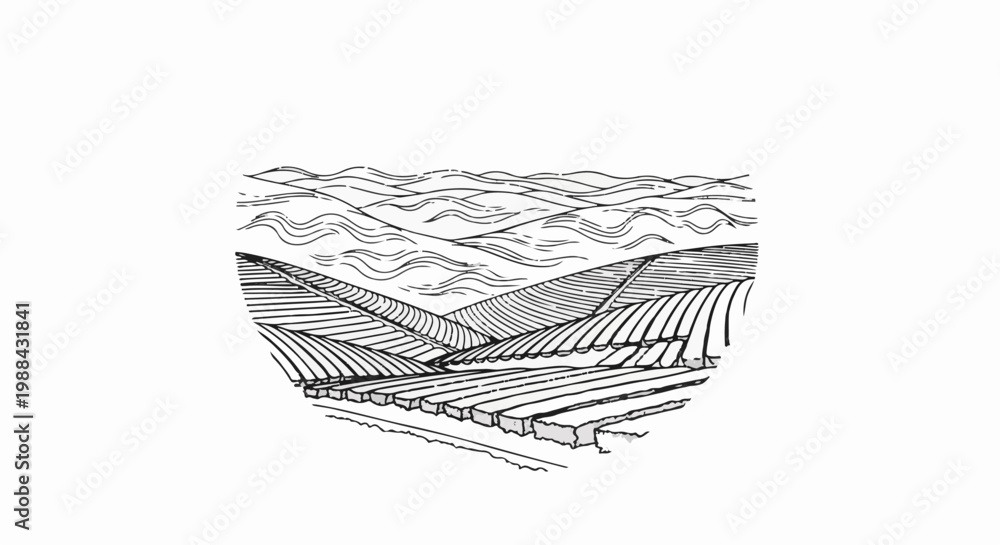 Obraz premium Stylized black and white drawing of rolling hills with layered fields
