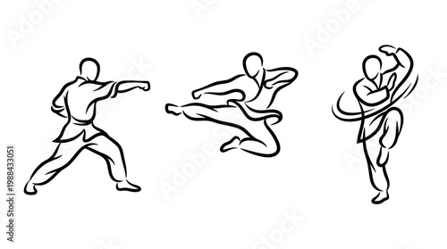 Dynamic Black and White Illustrations of Martial Arts Poses.