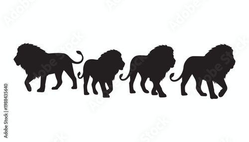 black and white silhouette set of Lion very high quality vector illustration.