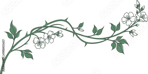 Elegant hand drawn botanical illustration featuring a thorny rose vine adorned with delicate pink and cream colored blossoms, perfect for decorative borders, patterns, or greeting cards.