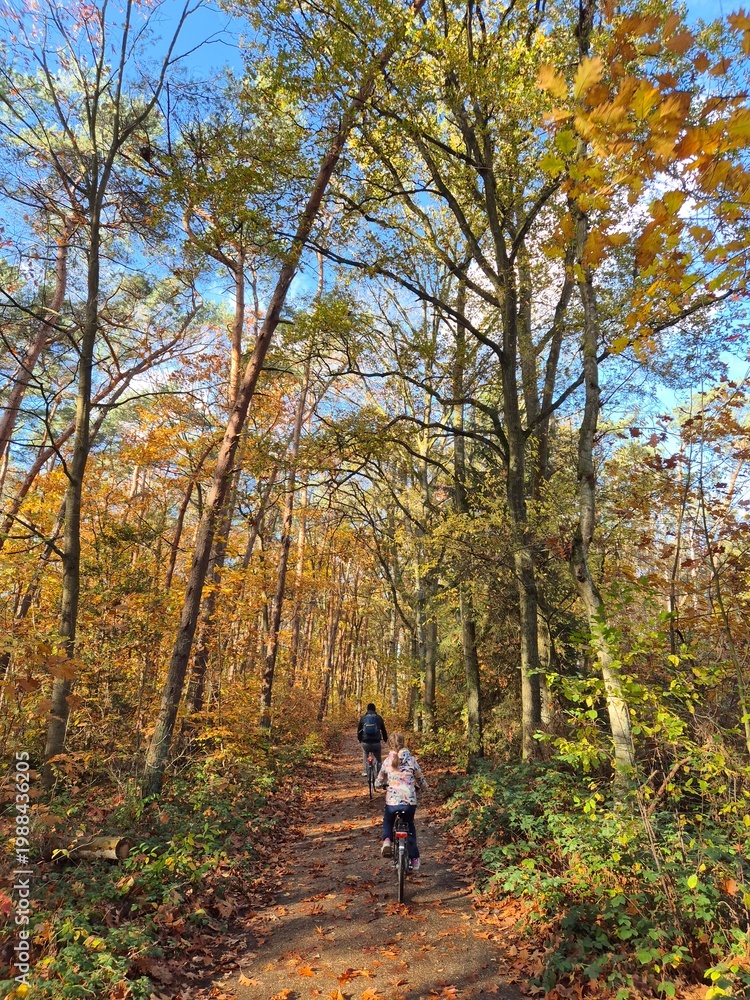 Fototapeta premium Two cyclists riding through autumn forest on submerged path way