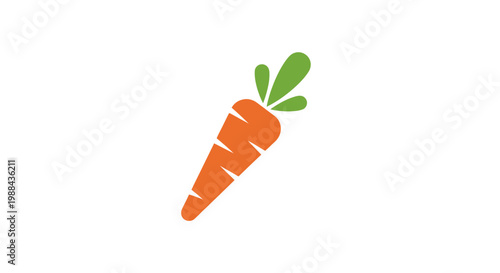 Fresh orange carrot vegetable root.