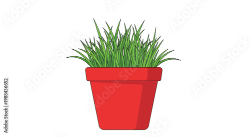 A vibrant green plant with slender blades in a red flowerpot
