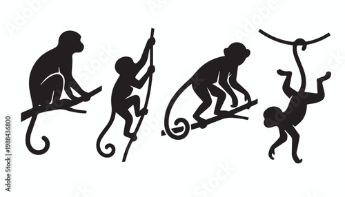 black and white silhouette set of monkey very high quality vector illustration.