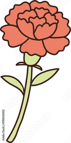 카네이션 어버이날 스승의날 가정의달 5월