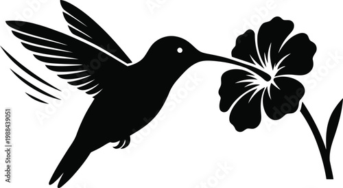 Hummingbird Sucking Nectar from Flower Silhouette Vector Art