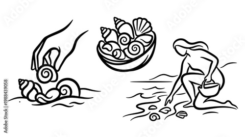 Collection of Seashells - A Coastal Scene Depicting Beach Combing.
