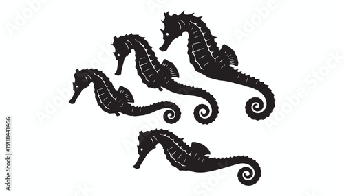 black and white silhouette set of Seahorses very high quality vector illustration.
