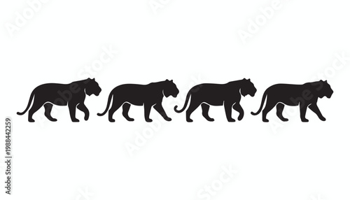 black and white silhouette set of tiger very high quality vector illustration.