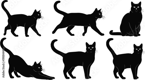 Black cat silhouettes set, domestic feline poses vector collection including walking, sitting, stretching for pet design, animal illustration, and creative projects