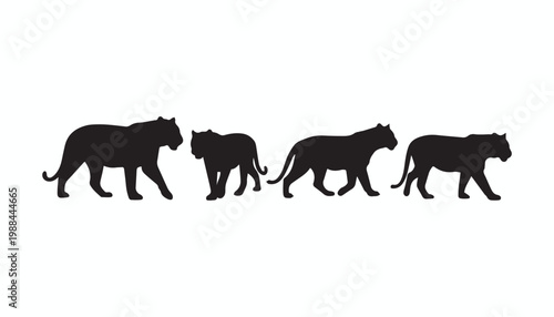 black and white silhouette set of Tiger very high quality vector illustration.