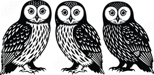 Owl illustration silhouettes set, detailed nocturnal bird vector collection with decorative feather patterns for wildlife design, nature art, and branding