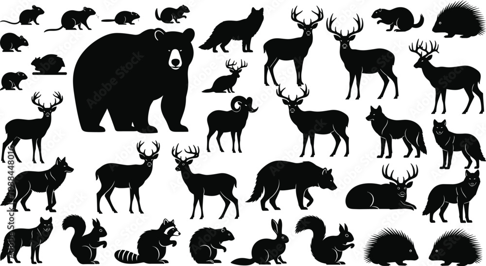 Obraz premium Collection of woodland animal silhouettes including deer, bear, wolf, raccoon, squirrel, rabbit, beaver, and forest wildlife illustration design