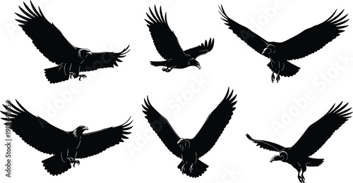Eagle silhouettes set, flying birds of prey vector collection with spread wings for wildlife design, freedom concept, and nature illustration projects