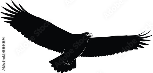 Flying eagle silhouette, detailed bird of prey with wide wings vector illustration for wildlife, freedom concept, and nature design projects